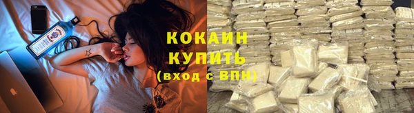 ECSTASY Белокуриха