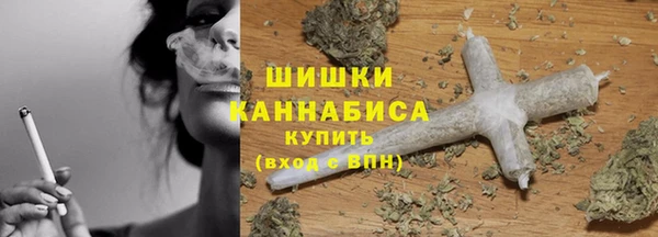 ECSTASY Белокуриха