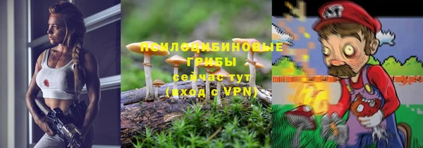 ECSTASY Белокуриха