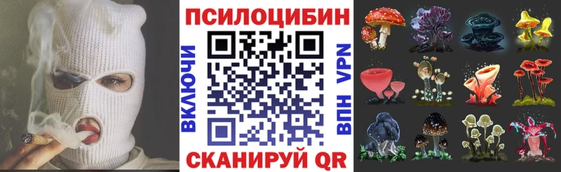 что такое Ялуторовск кракен ссылки Галлюциногенные грибы Cubensis